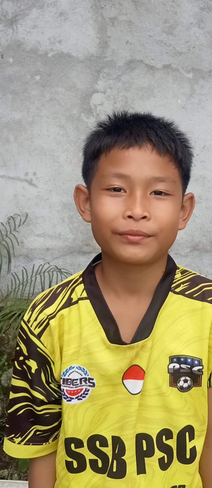 M Alfarezi Joniansyah