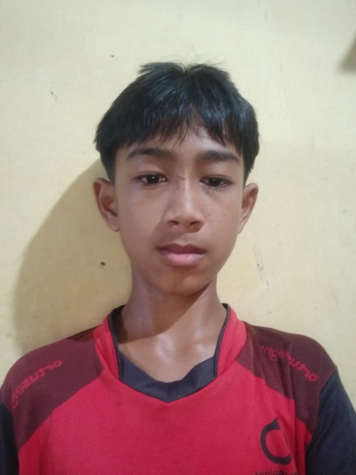 AHMAD HABIBIE